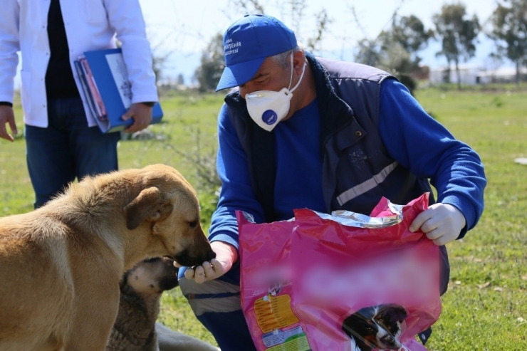 Aydın Büyükşehir Belediyesi Can Dostları Unutmadı