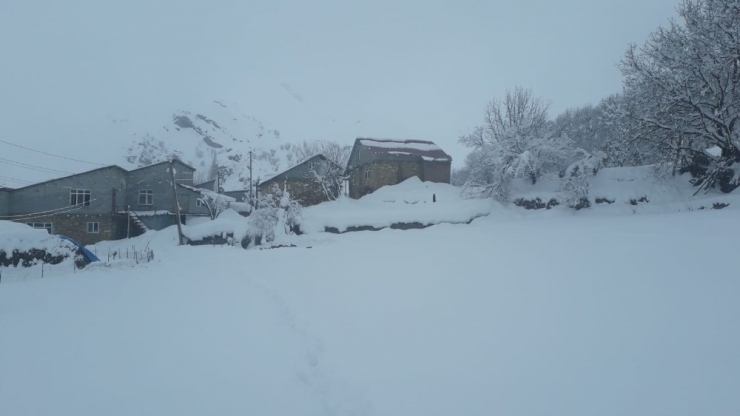 Batman’da Kar Yağışı Hayatı Olumsuz Etkiledi