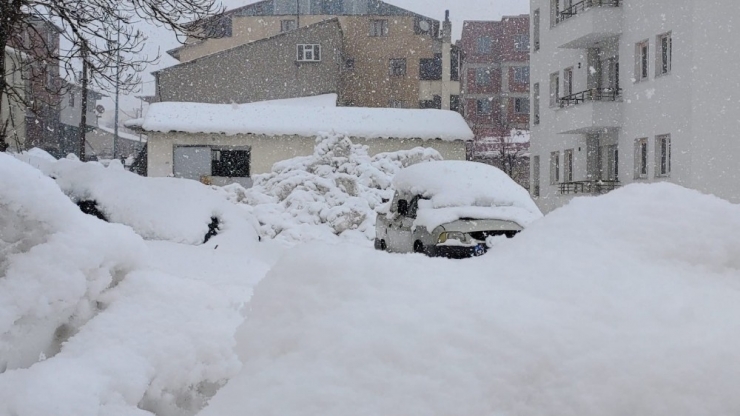 Bingöl’de Kar Yağışı, 21 Köy Yolu Kapandı