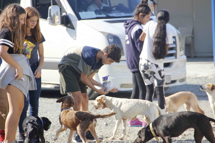 Ortaca’da ‘Can Dostlar’ Emin Ellerde