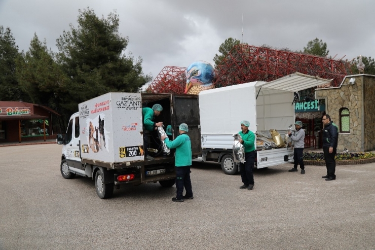 Gaziantep’te Enfeksiyonla Mücadelede Sokak Hayvanlarını Unutmadı