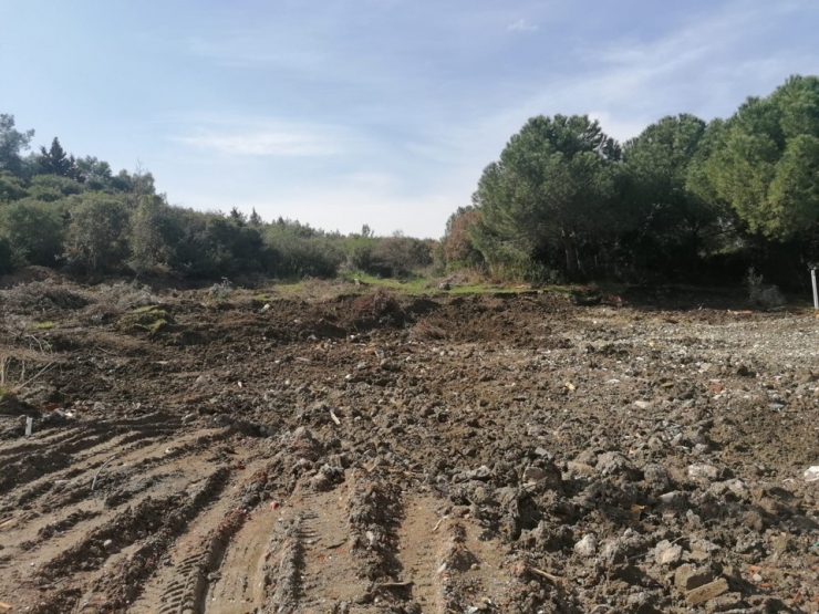 Ormana Yapılan Kaçak Binaların Yerine 200 Fidan