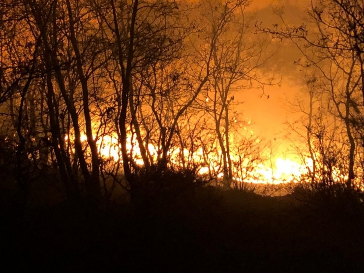 Manisa’da Orman Yangını Büyümeden Söndürüldü