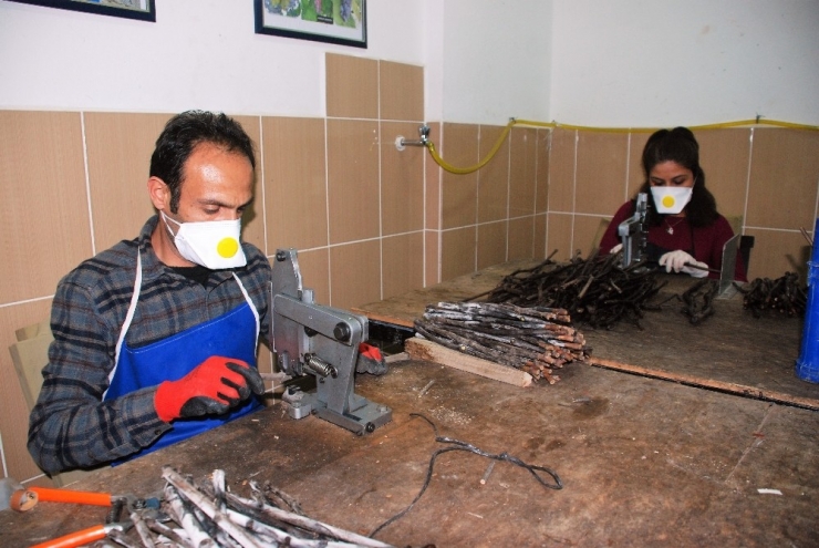 Koronavirüs İşlerine Engel Olmadı