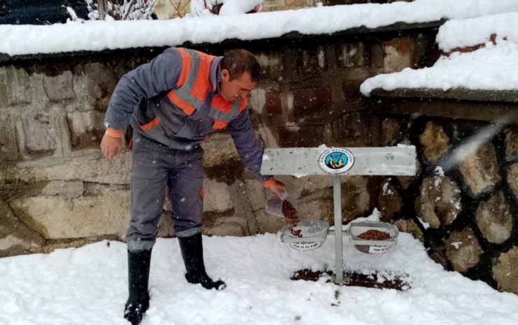 Ürgüp Belediyesi Karlı Havada Sokak Hayvanlarını Unutmadı