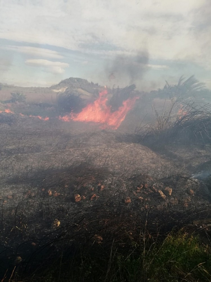 Antalya’da Sazlık Yangınında 30 Dönüm Alan Zarar Gördü