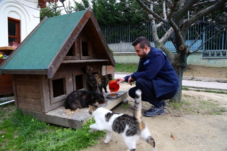 Korona Virüs Salgınında Sokak Hayvanları Unutulmadı