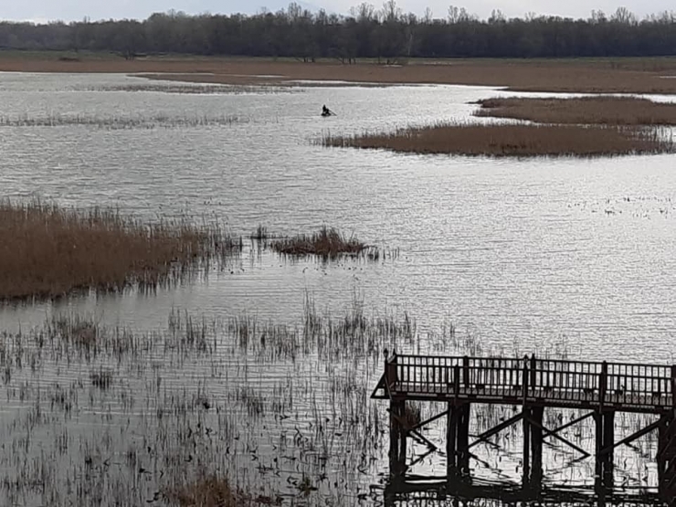 Düzce’de Kaçak Balık Avlanmaya Geçit Yok