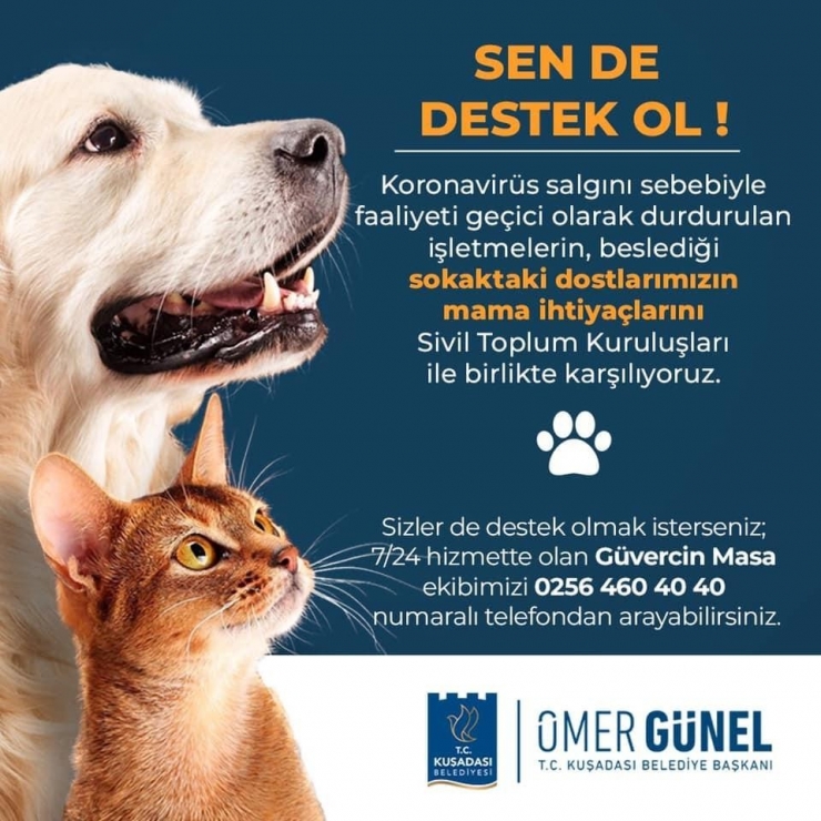 Kuşadası’nda Sokak Hayvanları İçin Mama Seferberliği