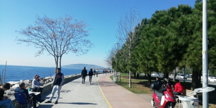 Zabıtalardan Sahilde Mangal Denetimi