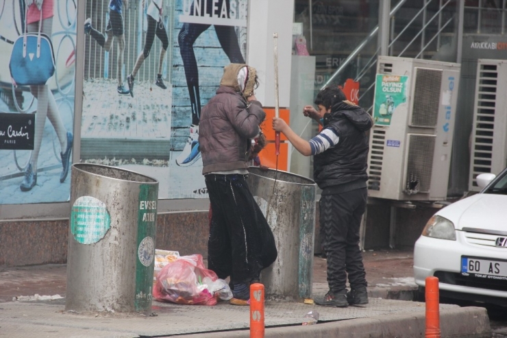 Hiçbir Şeye Aldırmadan Çöp Bidonuna Daldılar