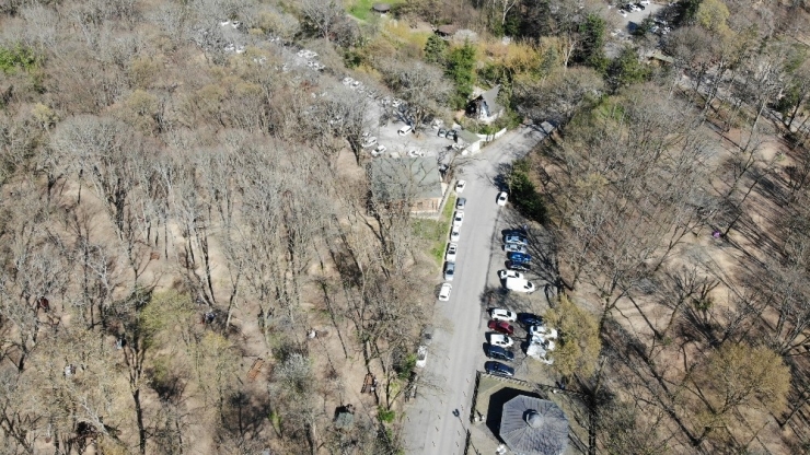 Korona Virüsüne Aldırış Etmeyen Vatandaşlar Belgrad Ormanı’na Akın Etti