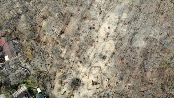 Piknikçiler Uyarılara Uydu, Belgrad Ormanı Boş Kaldı