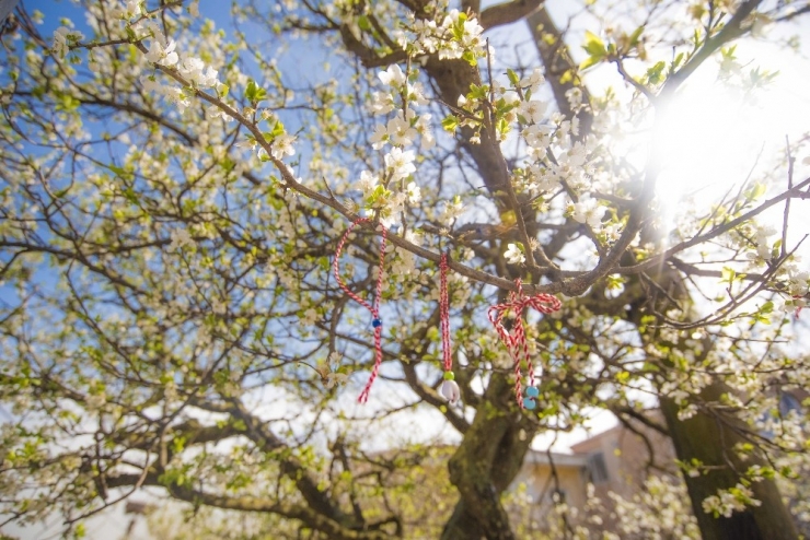 Ağaçlar Marteniçka Açtı