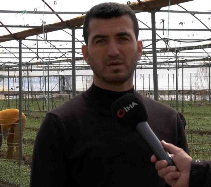 Korona Virüs Tehdidine Rağmen Avrupa İçin Karanfil Üretiyorlar