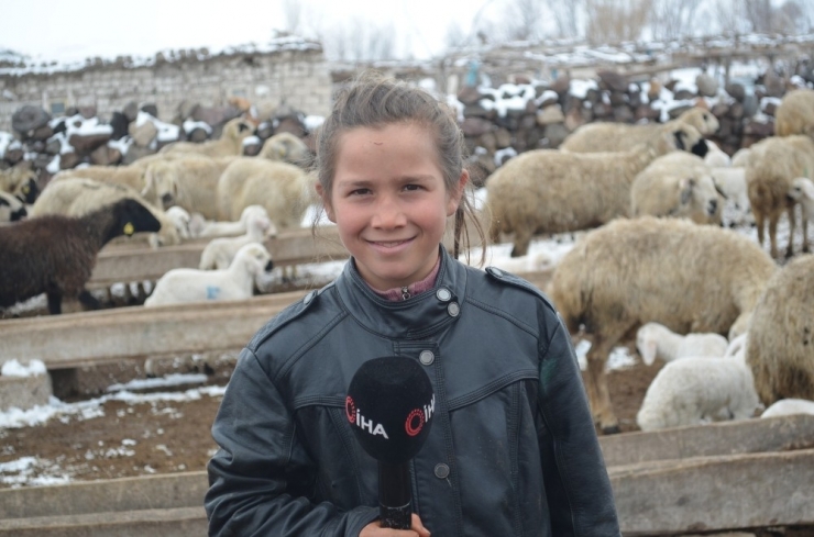 11 Yaşındaki Kardelen, Korona Virüs Tatilinde Çobanlık Yapıyor