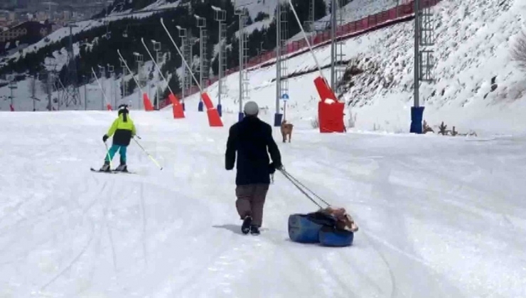 Hasta Buzağıyı Kızakla Veterinere Götürdü