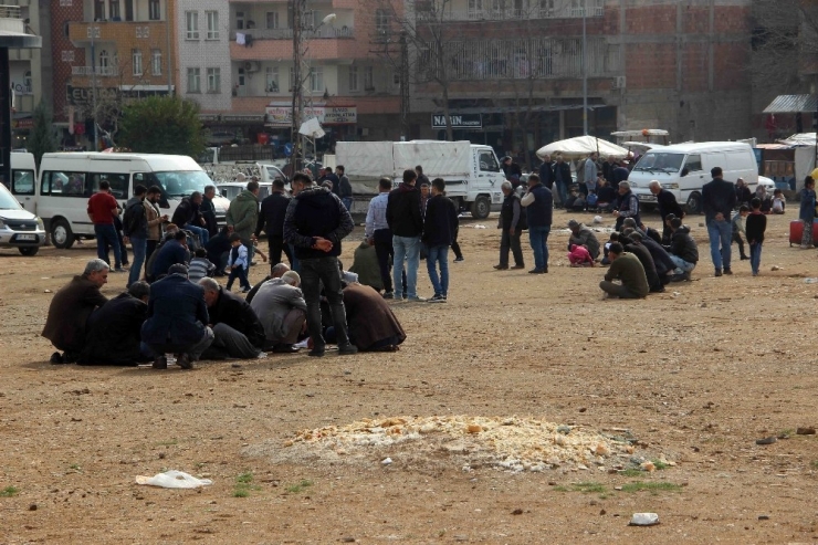 27 Yıldır Çöpten Topladığı Ekmeklerle Kuşları Besliyor