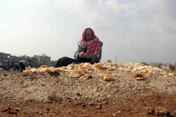 27 Yıldır Çöpten Topladığı Ekmeklerle Kuşları Besliyor