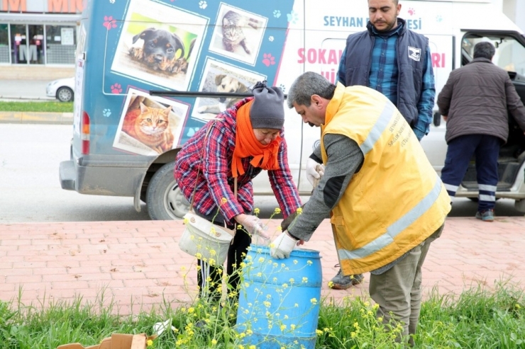 Sokak Hayvanları Aç Kalmayacak