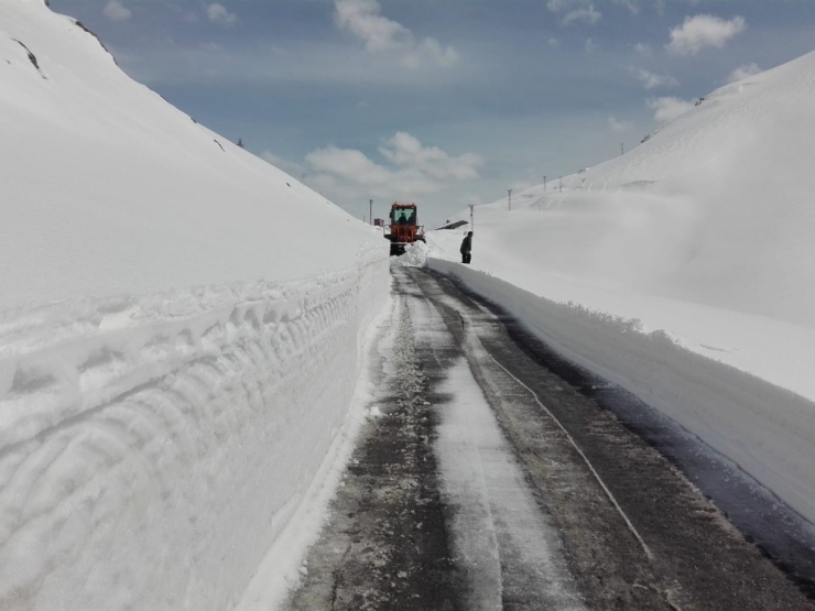Şırnak’ta Karla Mücadele Mart Ayında Devam Ediyor