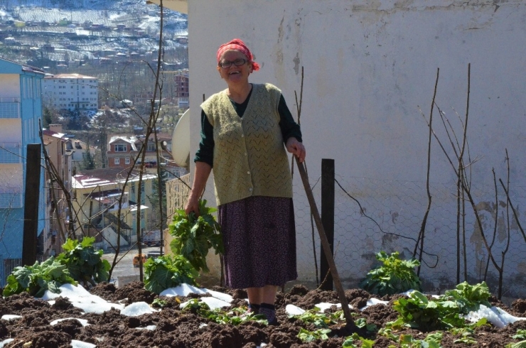Uzun Ömürlü İnsanların Yaşadığı İlçede ‘Korona’dan Korunma Yöntemleri