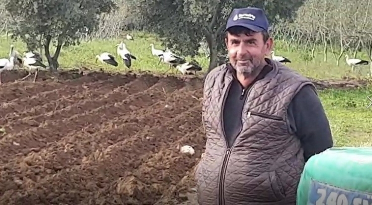 Leyleklerin İstilası