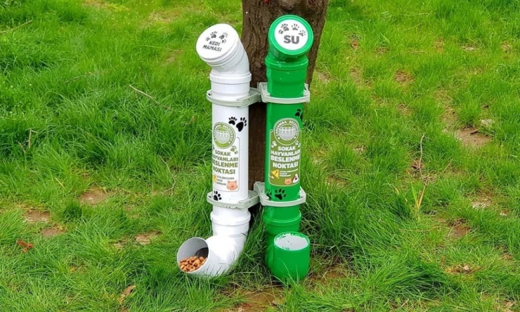 Başkan Doğan’dan Hayvanseverlere: “Evden Çıkmayın, Sokaktaki Canları Biz Besliyoruz”