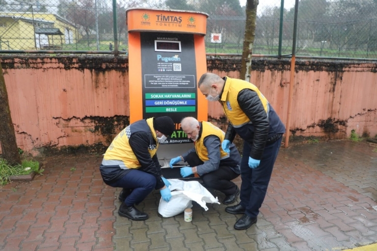 Eyüpsultan’da Sokak Hayvanları İçin Besleme Çalışmaları