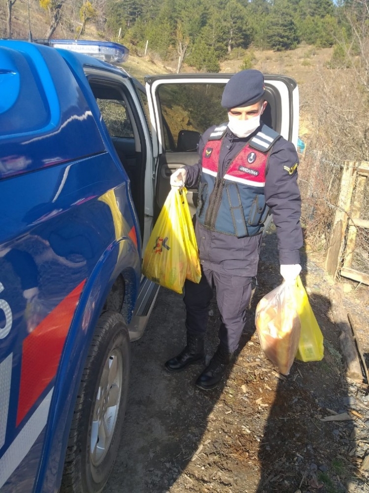 Daday’da Evinde Kalan Yaşlıların İhtiyaçları Jandarma Tarafından Karşılandı