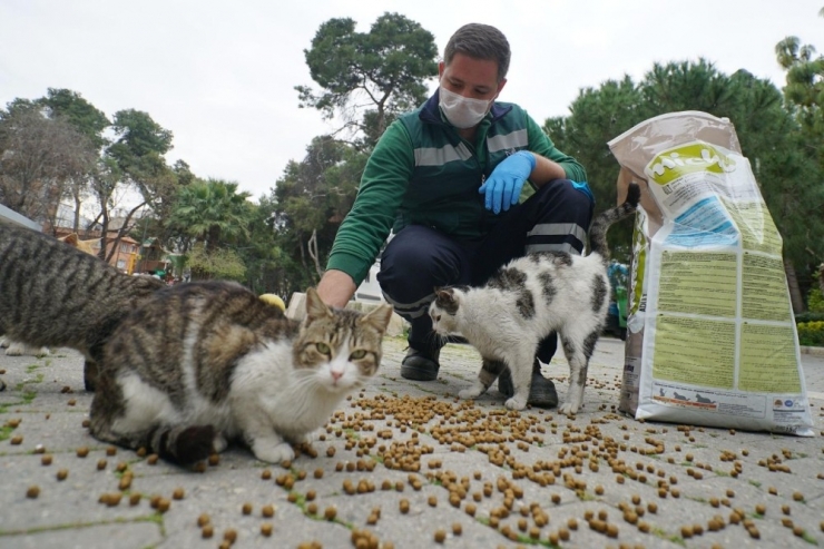 Konak, Can Dostları Unutmadı