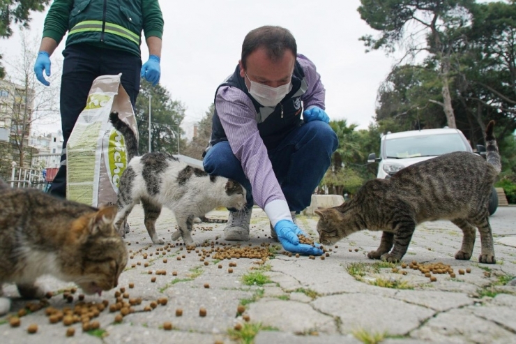 Konak, Can Dostları Unutmadı