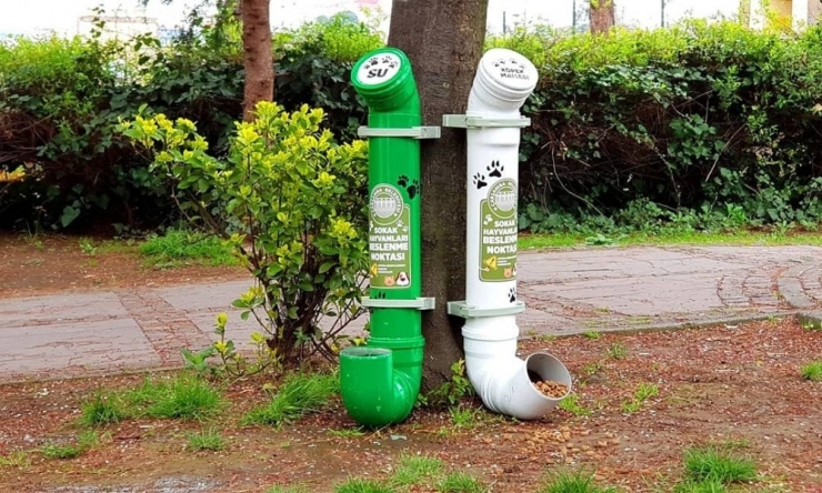 Başkan Doğan’dan Hayvanseverlere: “Evden Çıkmayın, Sokaktaki Canları Biz Besliyoruz”