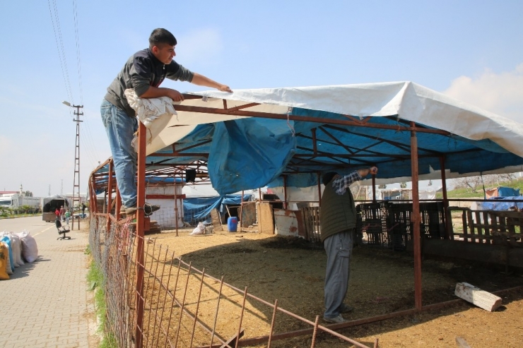 Akdeniz Belediyesi Zabıta Ekipleri, Tırmıl Hayvan Pazarını Kaldırdı