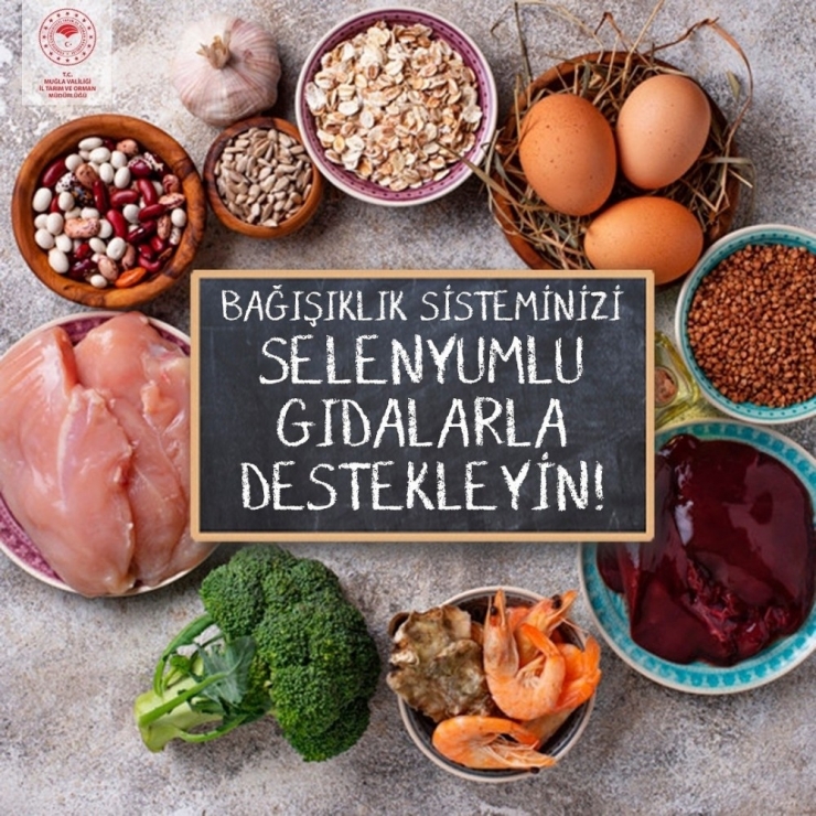 Tarım İl Müdürü Saylak Alınan Tedbirleri Açıkladı