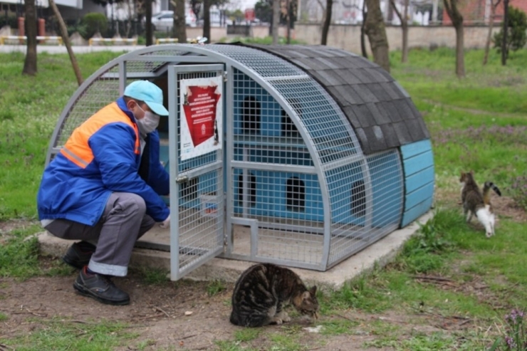 Nilüfer’de Can Dostları Unutulmuyor