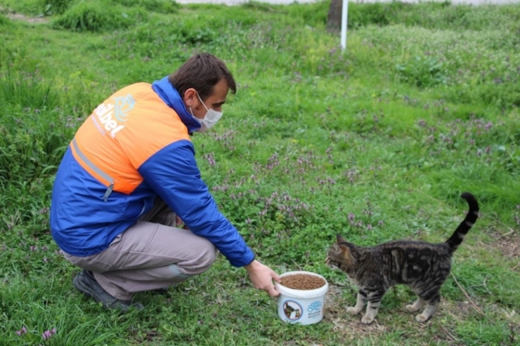 Nilüfer’de Can Dostları Unutulmuyor