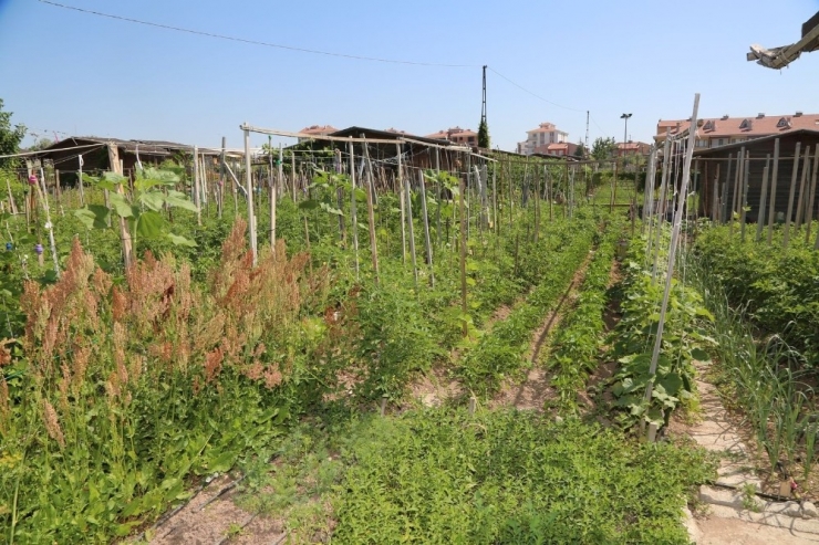 Hobi Bahçeleri Kapatıldı