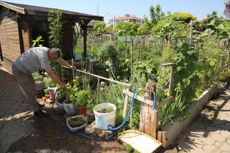 Hobi Bahçeleri Kapatıldı