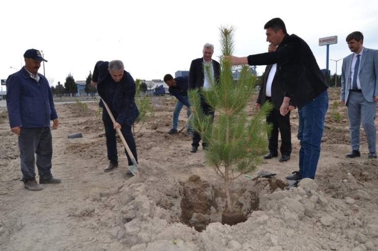 Afyonkarahisar Osb’de Ağaçlandırma Çalışmaları