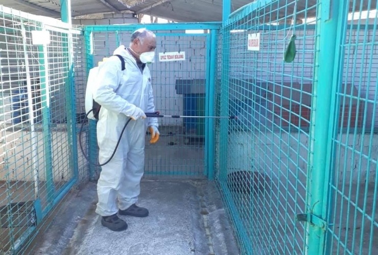 Turgutlu’da Sokak Hayvanları Da Unutulmadı