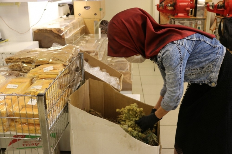 Kuru Yemişçi, Korona Virüs Tedbirleri Kapsamında Maske Ve Eldivenle Çalışıyor