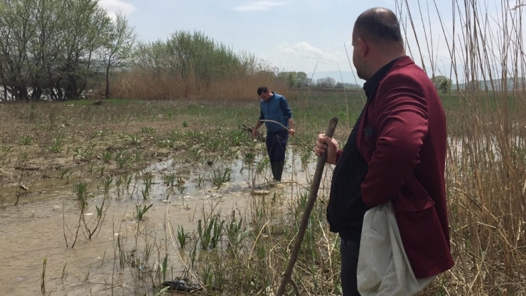 Tarladan Balık Topladılar