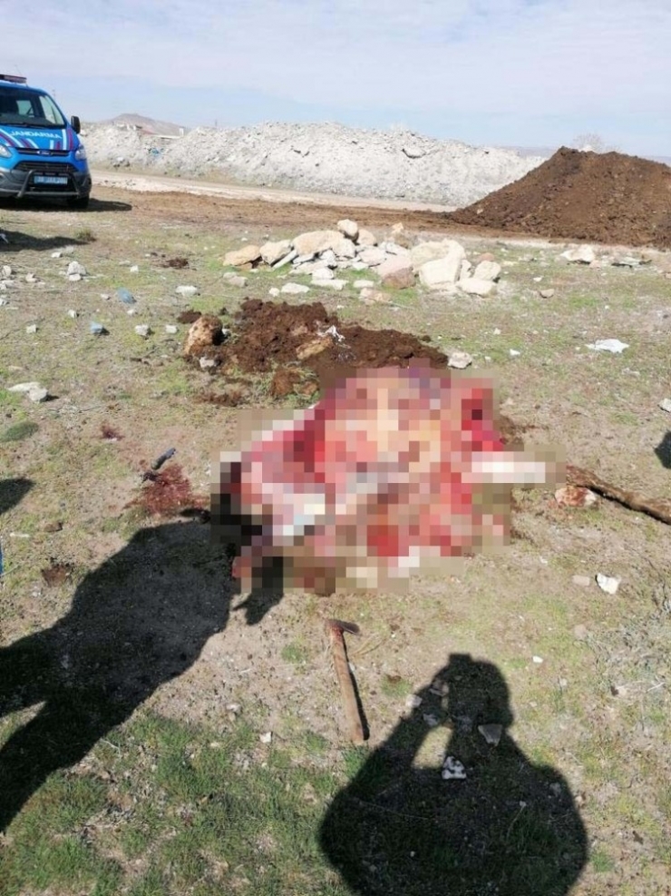 Kaçak Hayvan Eti Operasyonunda 2 Kişiye 27 Bin 868 Tl Para Cezası Kesildi