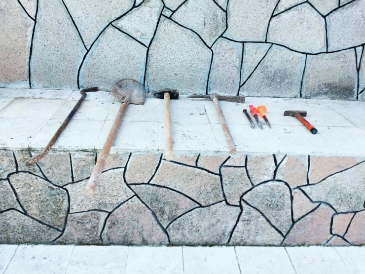 Koca Ağacı Söküp Hazine Arayan Defineciler Yakalandı