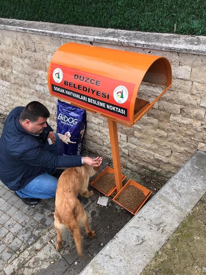 Düzce Belediyesi Sokak Hayvanlarını Unutmadı