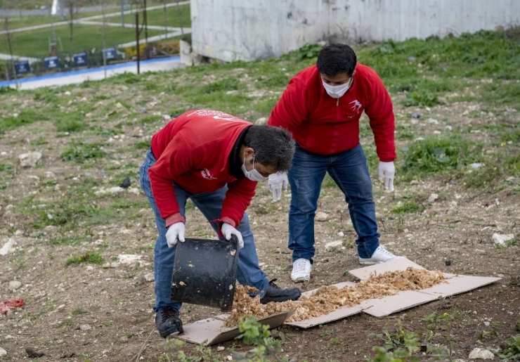 Sokak Hayvanları İçin Günde 650 Kilo Mama