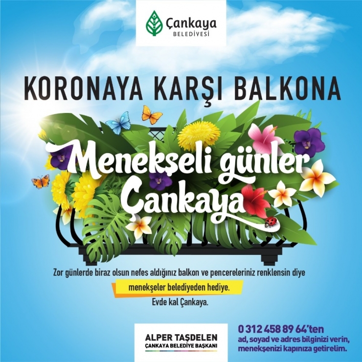 Çankaya Belediyesi Evde Kalan Vatandaşlara Menekşe Dağıtıyor