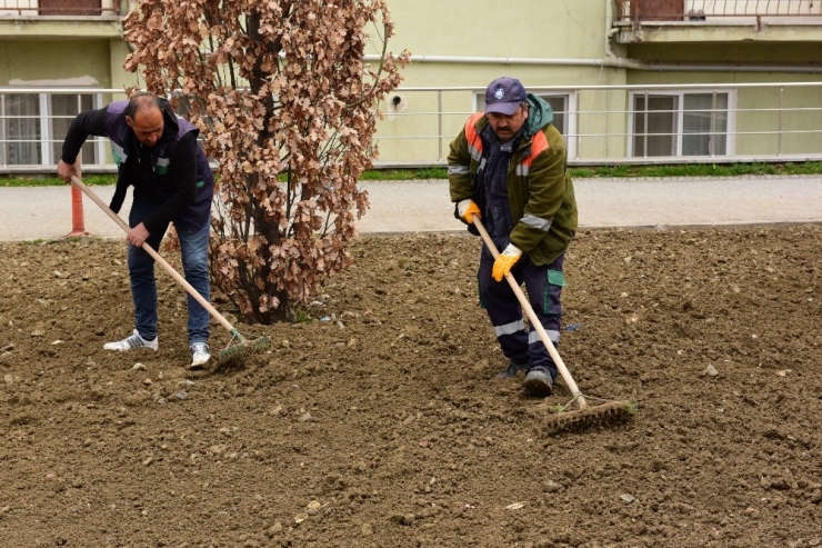 Çorum’da Belediye Parkları Yaza Hazırlıyor