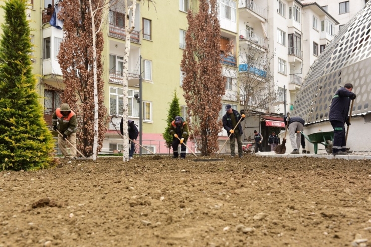 Çorum’da Belediye Parkları Yaza Hazırlıyor